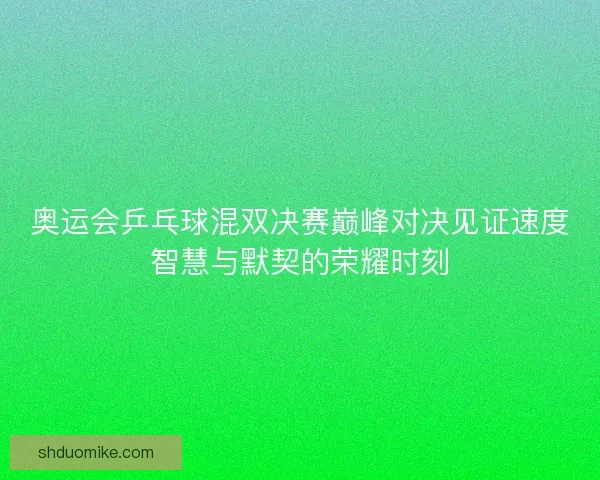 奥运会乒乓球混双决赛巅峰对决见证速度智慧与默契的荣耀时刻