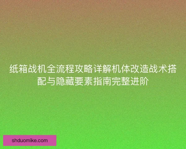 纸箱战机全流程攻略详解机体改造战术搭配与隐藏要素指南完整进阶