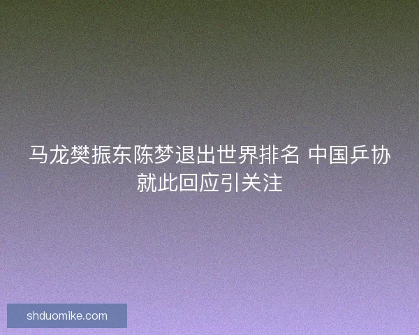 马龙樊振东陈梦退出世界排名 中国乒协就此回应引关注