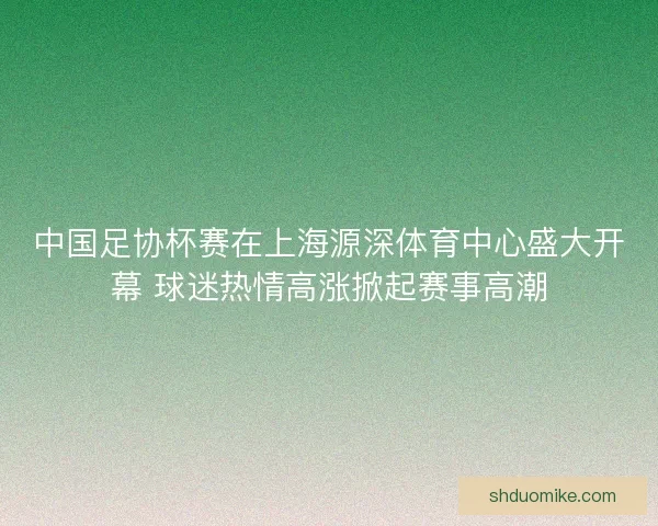 中国足协杯赛在上海源深体育中心盛大开幕 球迷热情高涨掀起赛事高潮 中国足协杯赛在上海源深体育中心盛大开幕 球迷热情高涨掀起赛事高潮